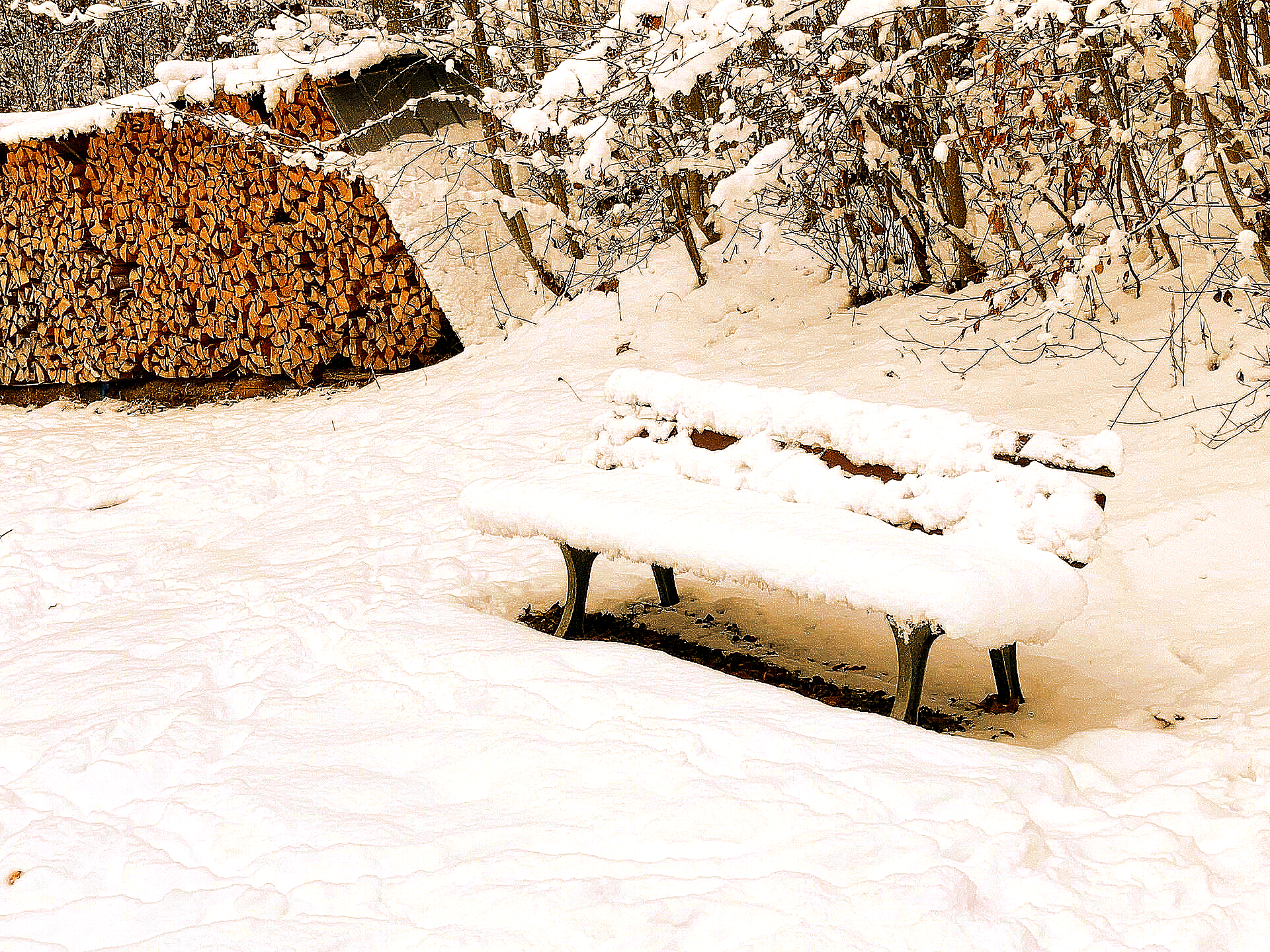 Eine schneebedeckte Bank vor einem Stapel Holzstämme