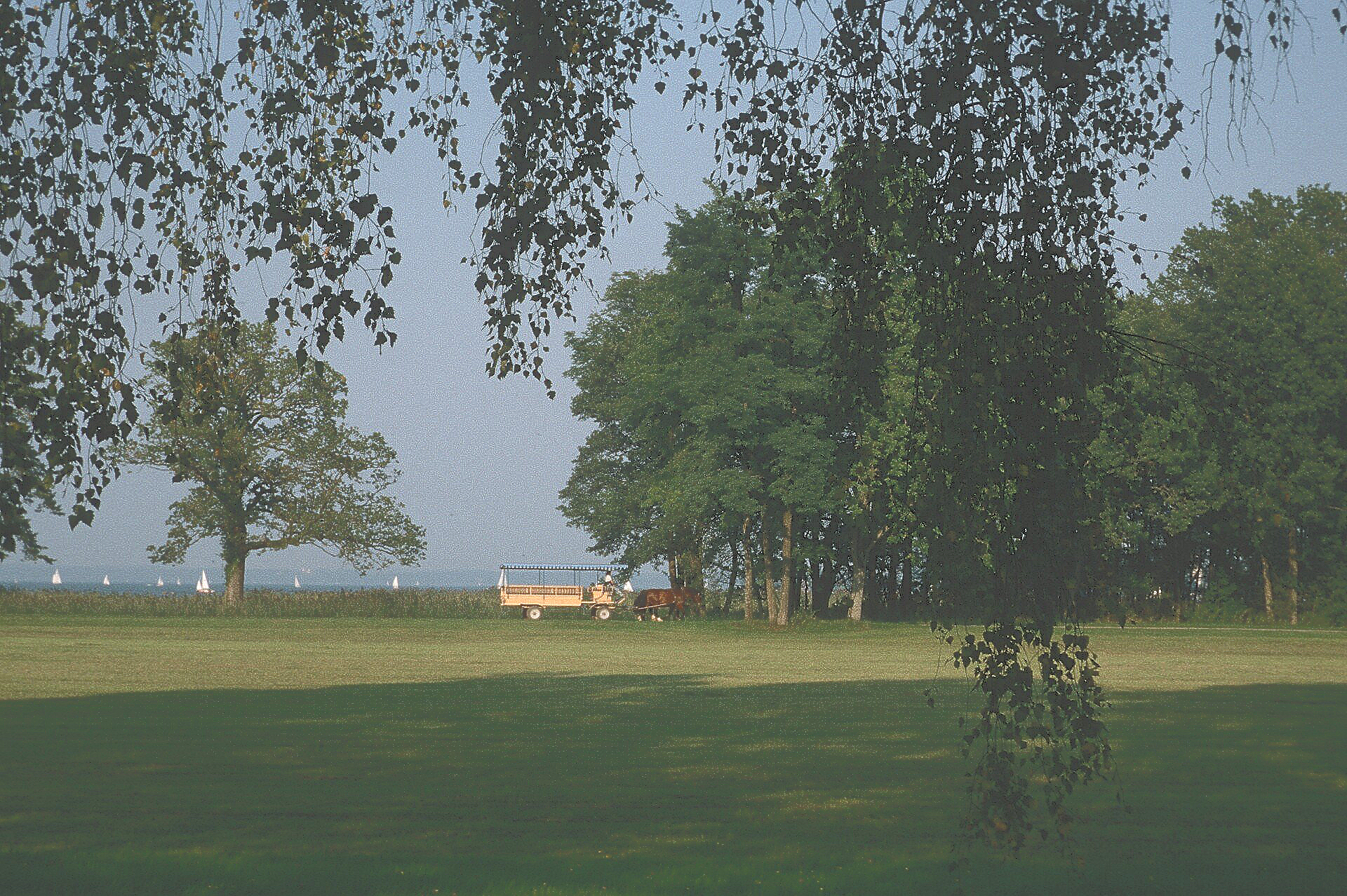 Ein Park mit Bäumen und einem Boot in der Ferne
