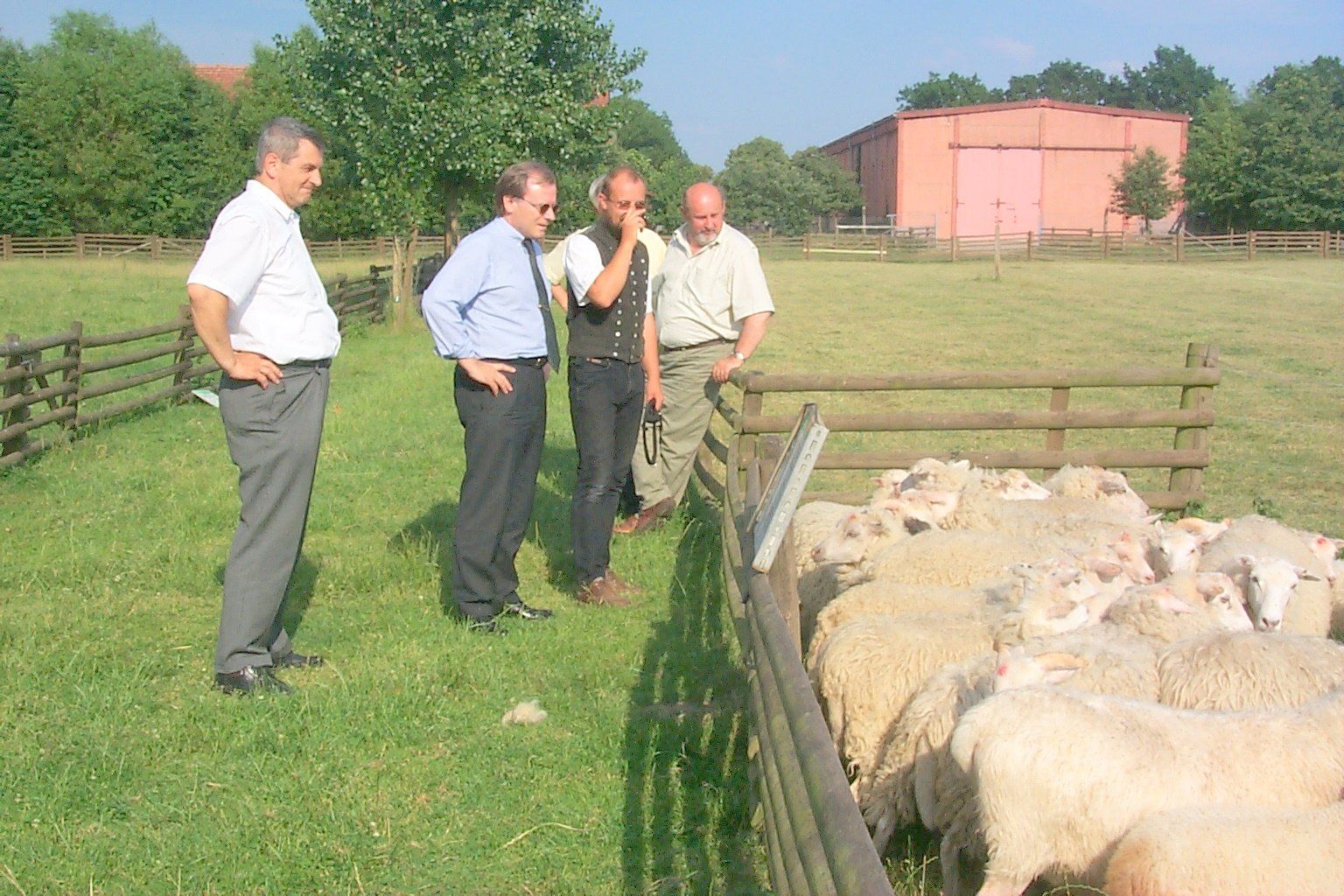Eine Gruppe von Männern steht auf einem Feld mit Schafen