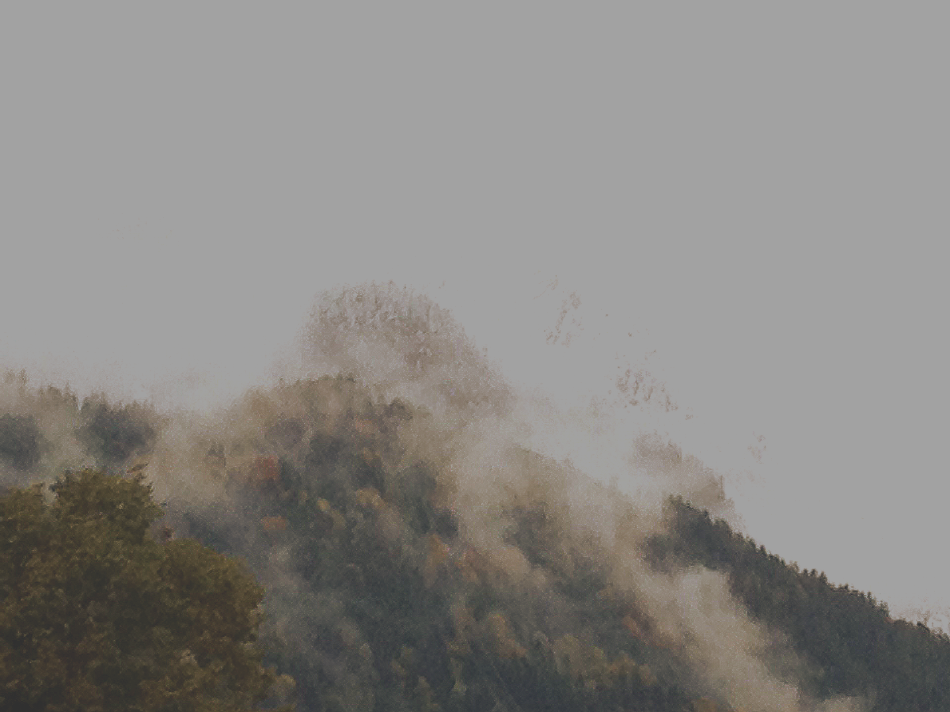Ein von Nebel und Bäumen bedeckter Berg mit einem bewölkten Himmel im Hintergrund.