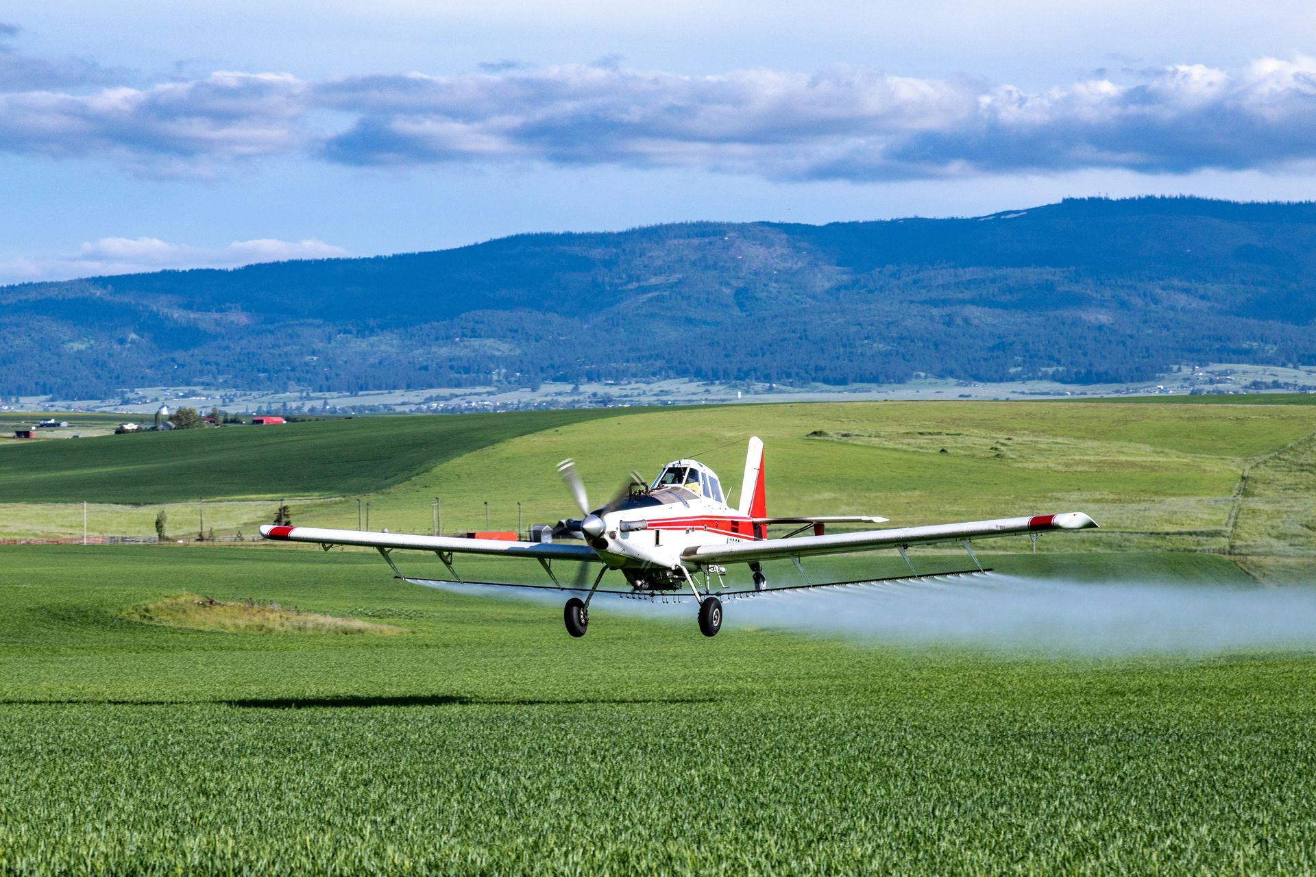 A small plane is spraying a field with a chemical.