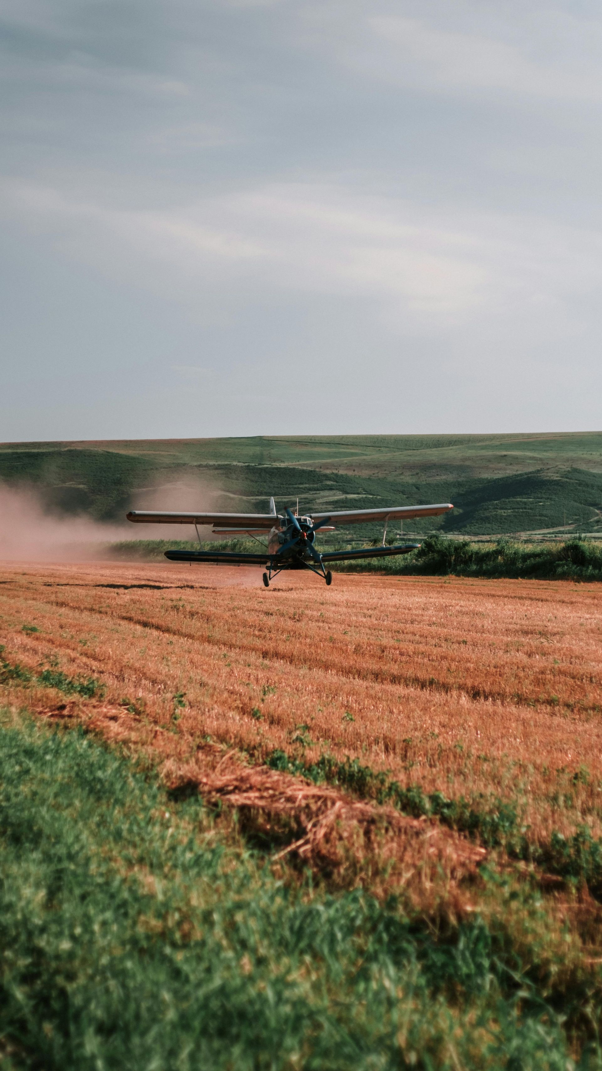 A small plane is flying over a field of wheat.