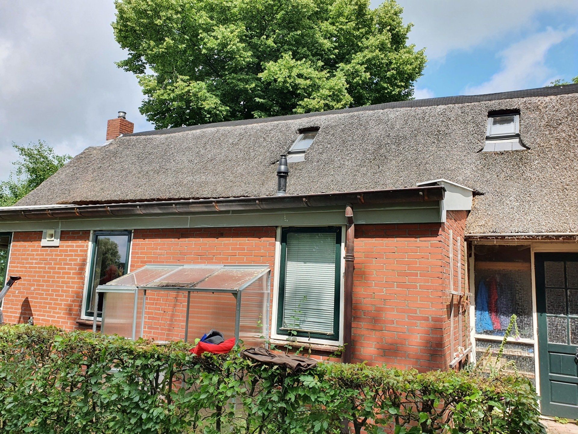 Een rood bakstenen huisje met een rieten dak, een groene deur en een heg ervoor, onder een grote boom.