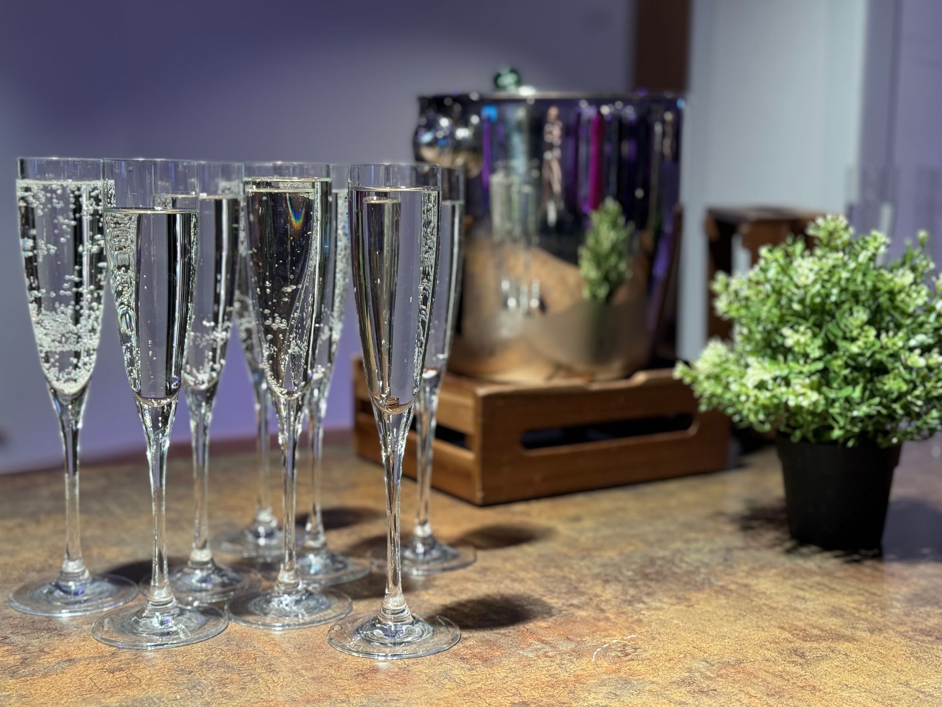 champagne