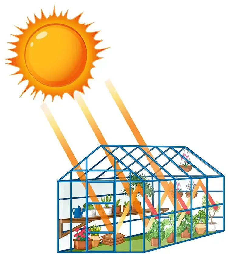 Sun shining on a greenhouse full of plants, illustrating sunlight entering and warming the interior.