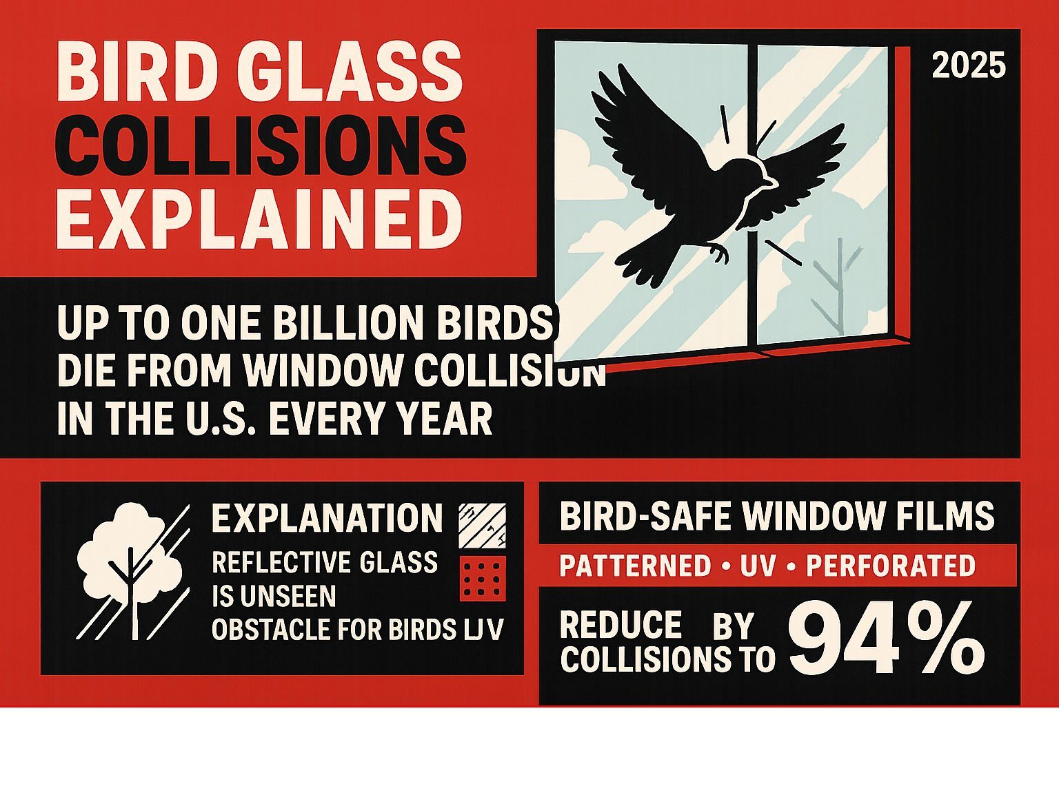 Bird Glass Collisions Explained - bird-safe window films infographic Bird Glass Collisions Explained - bird-safe window films infographic
