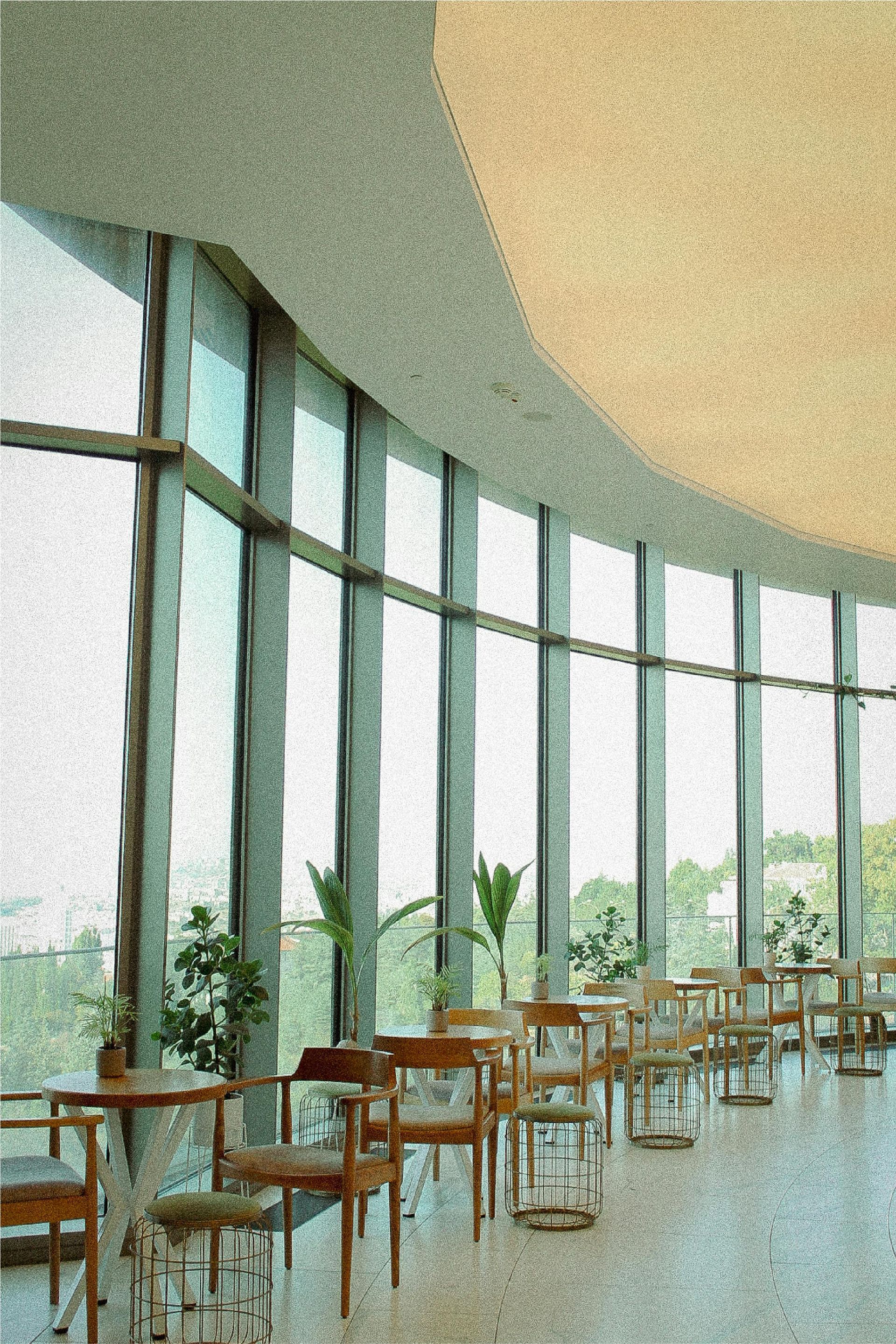 Modern café with curved glass wall, wooden tables and chairs, and plants by a bright window.