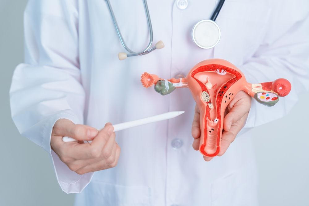 Doctor holding a model of the female reproductive system and a pen in a clinical setting