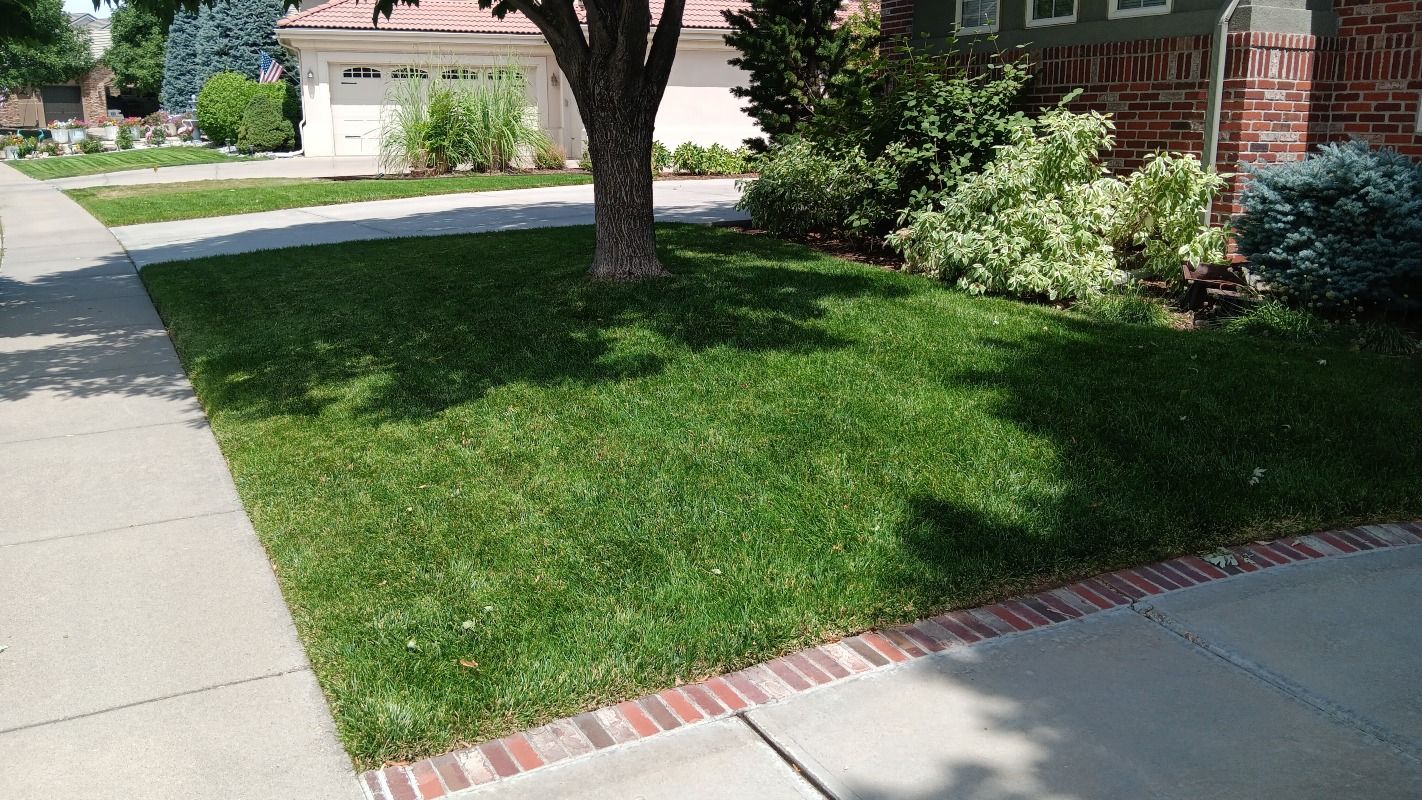 Commercial Lawn Care & Mowing