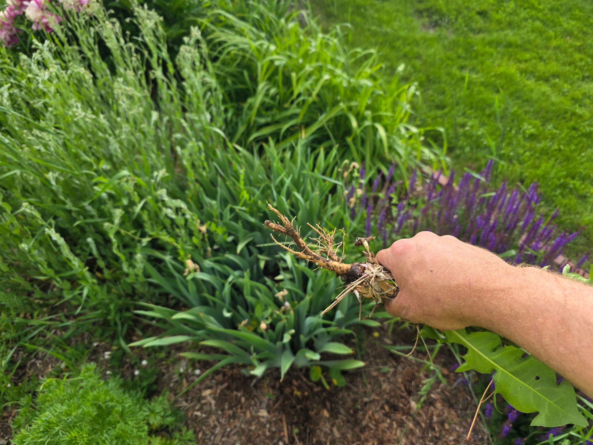 Fertilizer & Weed Control