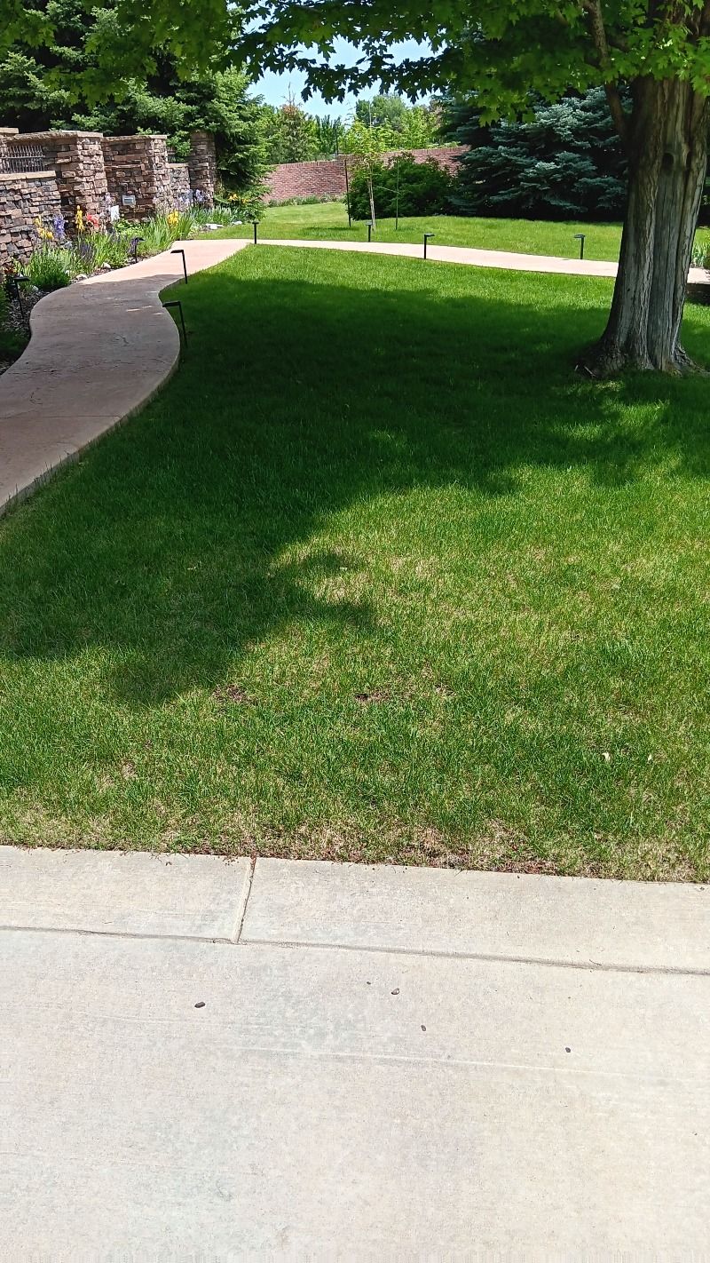 A green lawn bordered by a sidewalk and a walkway, with a tree casting a shadow.
