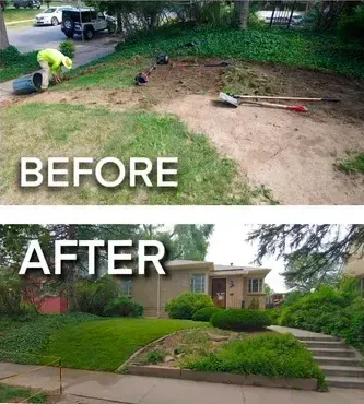 Before & After Landscaping