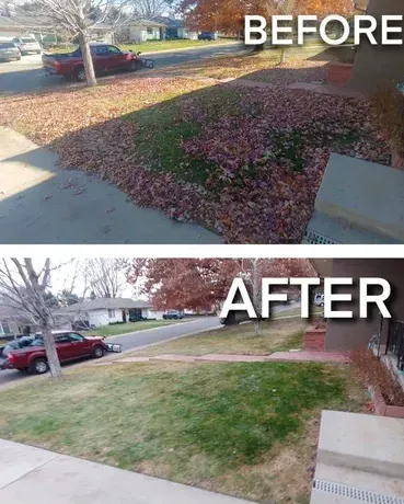 Before & After Property Clean Up