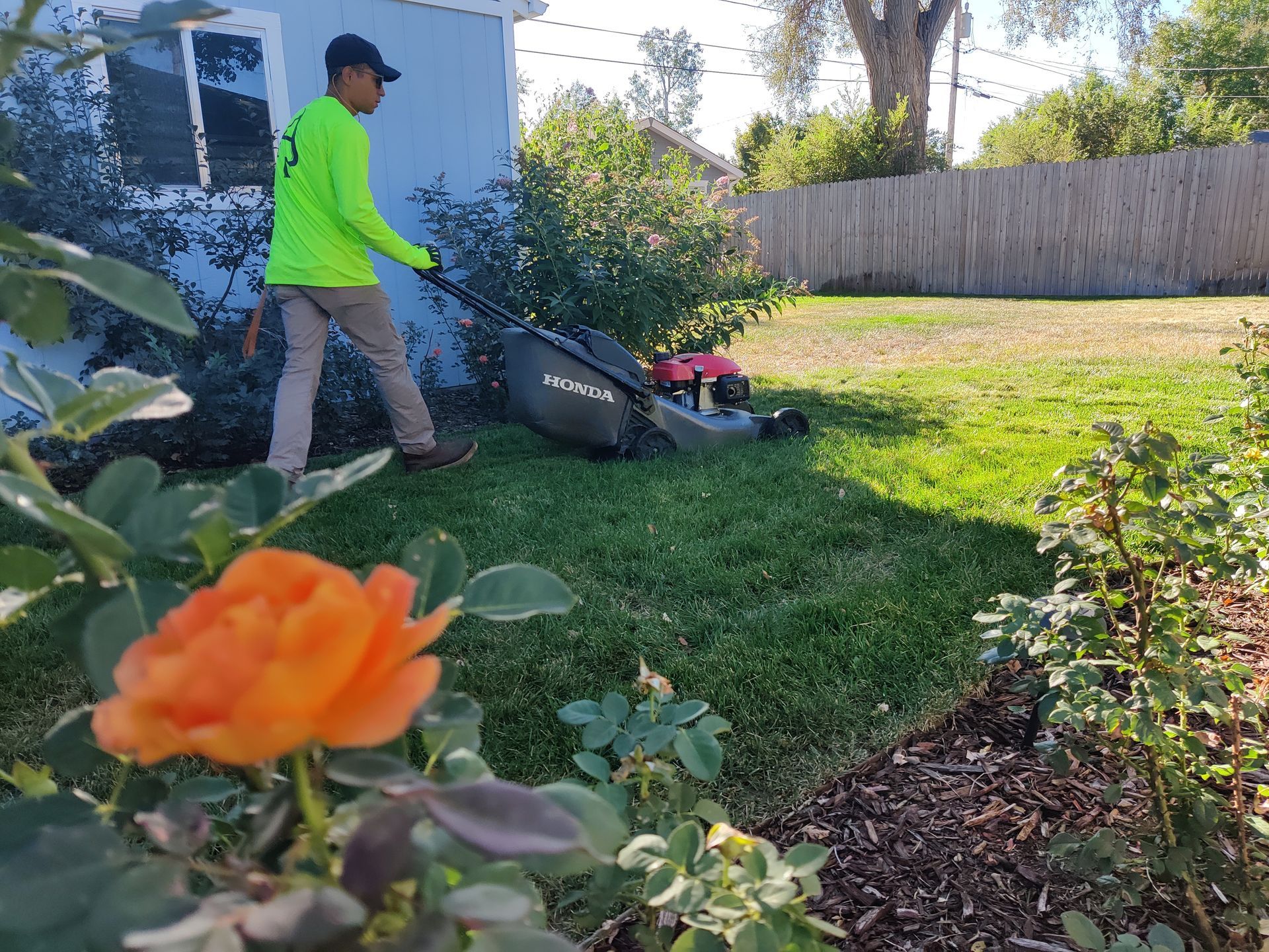 A man is mowing a lush green lawn in front of a house.