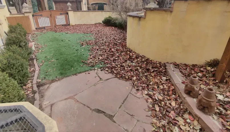 Property Clean Up Before