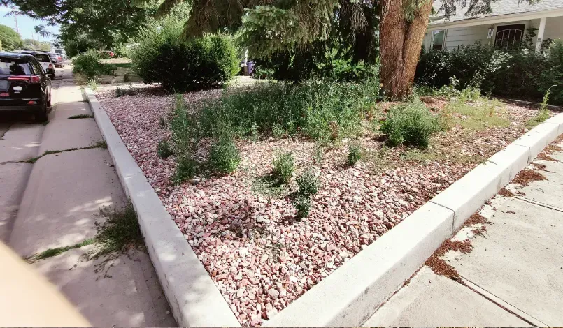 Landscaping Before