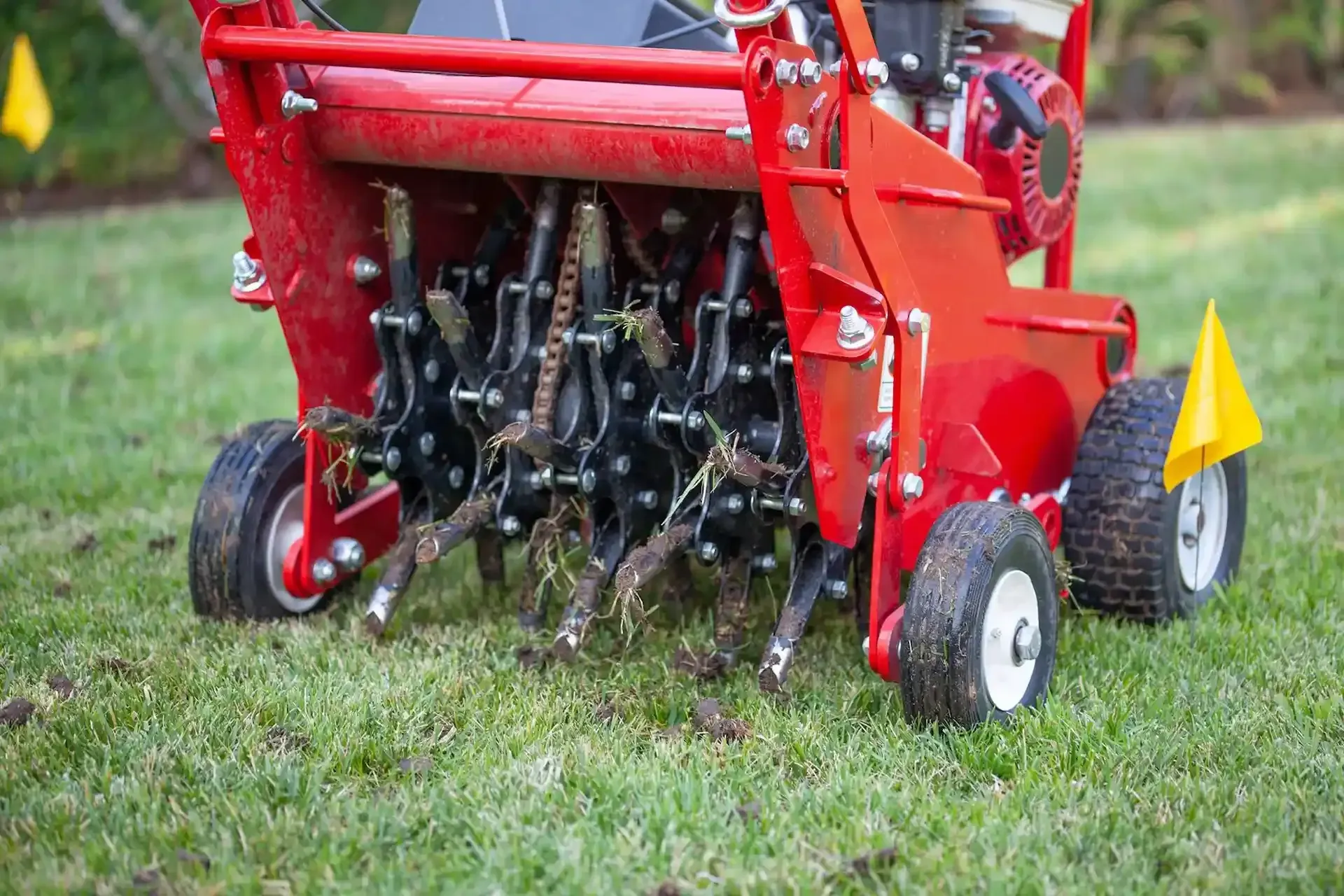 Aeration & Overseeding
