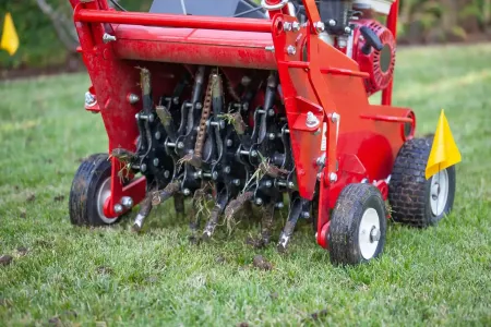Aeration & Overseeding
