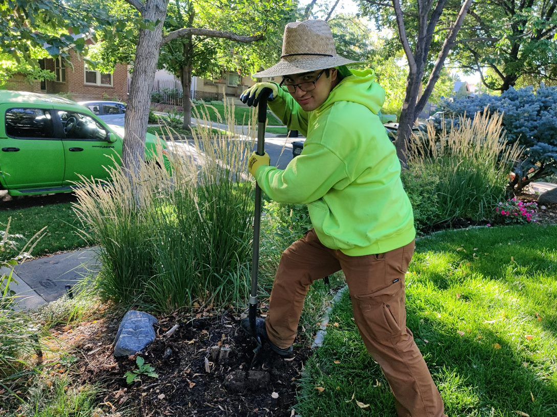 Landscape Maintenance
