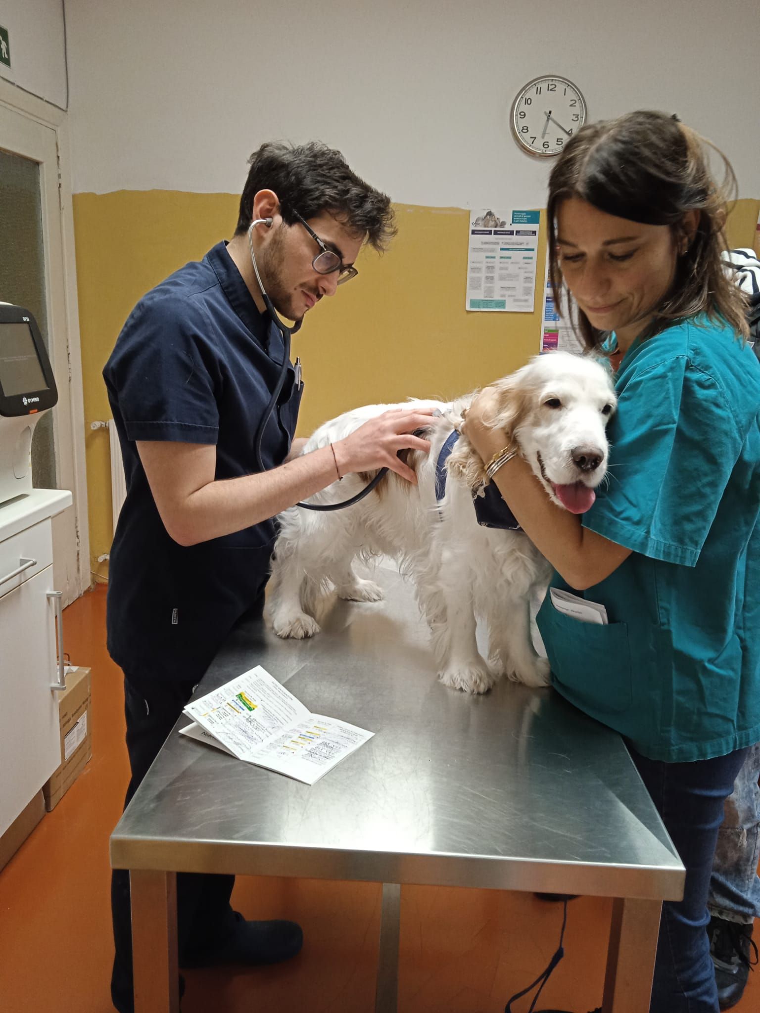 Due veterinari esaminano un cane bianco su un tavolo da visita in una clinica.