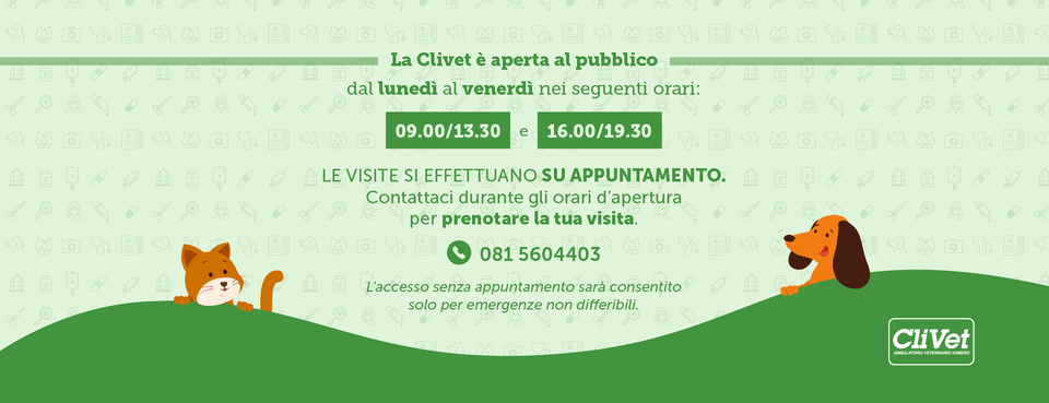 Banner pubblicitario verde con animali domestici raffigurante una volpe e un cane, testo in francese e il logo GOVA sulla destra.