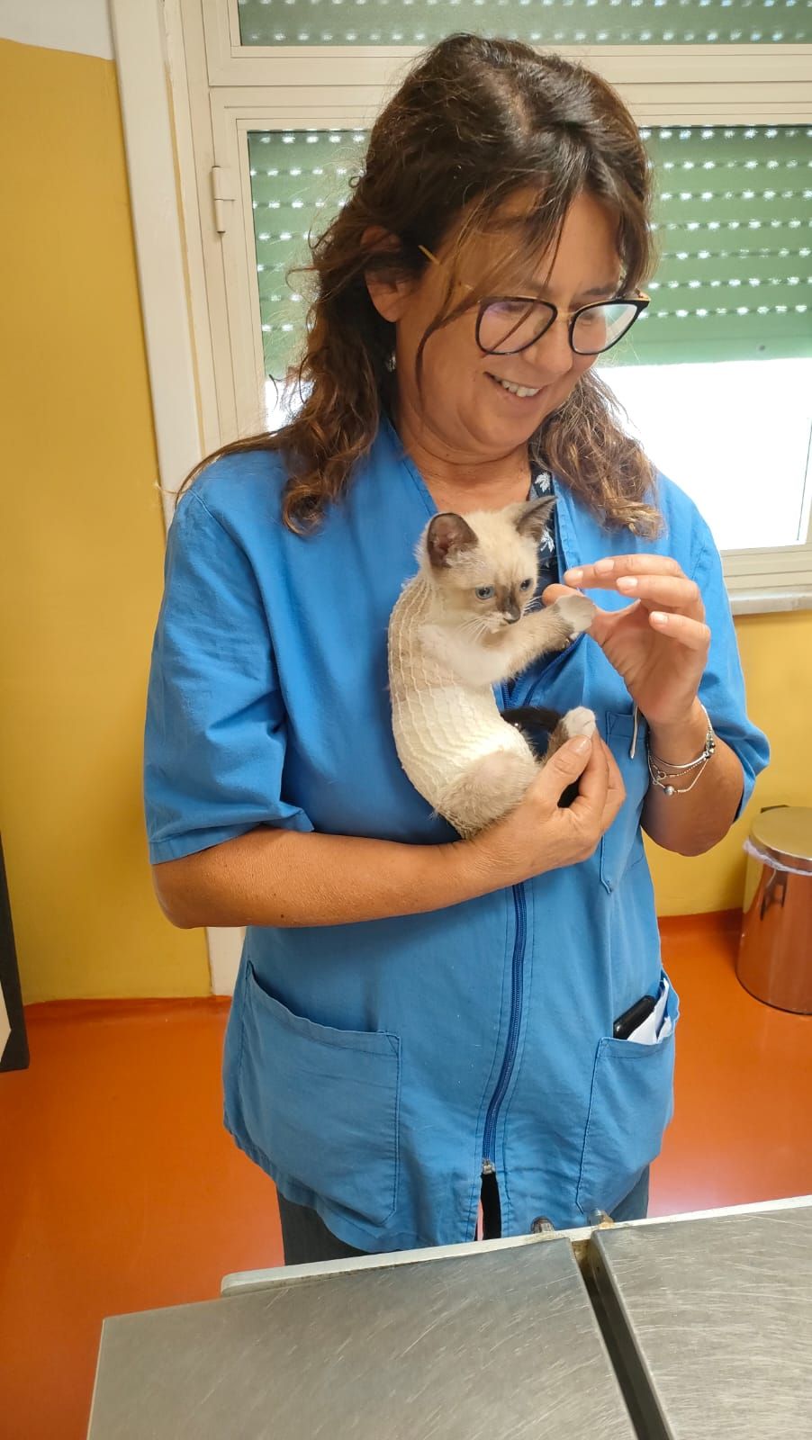 Un veterinario in camice blu tiene delicatamente in braccio un piccolo gattino bianco in una sala della clinica.