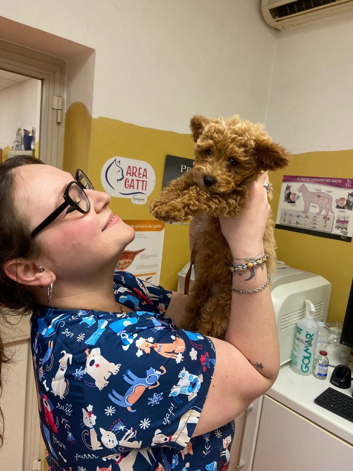 Una donna in camice blu a fiori tiene in braccio un cagnolino marrone in una stanza della clinica.