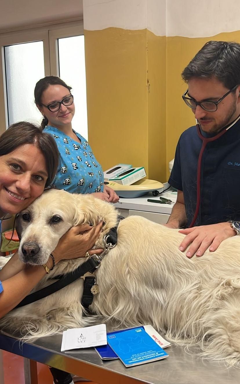 In una stanza con dei documenti e un quaderno blu, tre persone accarezzano un cane dal pelo chiaro.