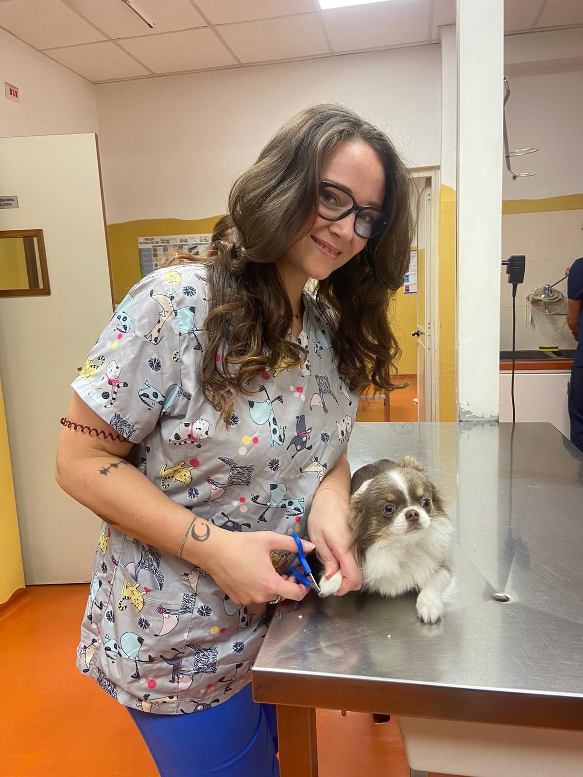 Una donna in camice con fantasia tiene in braccio un cagnolino su un tavolo da visita metallico in una clinica veterinaria.