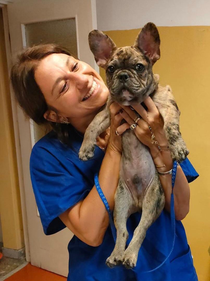 Una donna con una camicia blu sorride e tiene in braccio un piccolo bulldog francese in un ambiente interno.
