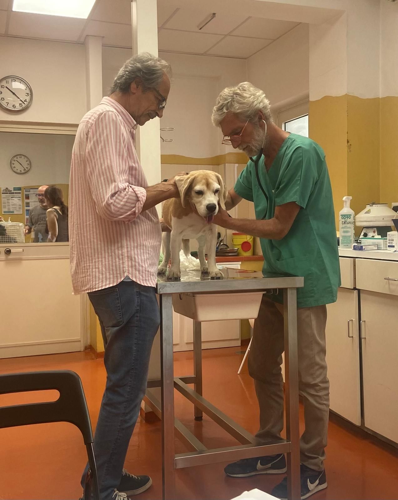 Veterinario e assistente esaminano un cane su un lettino da visita in clinica.