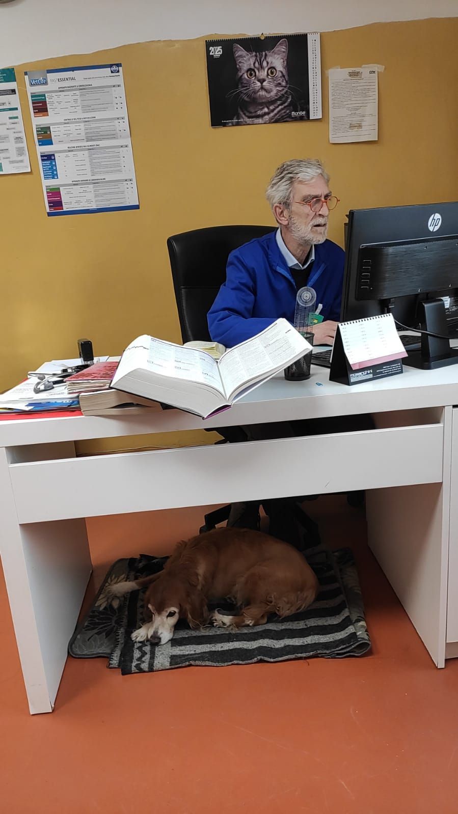 Un uomo seduto alla sua scrivania con il computer; un cane accoccolato sotto la scrivania su un tappetino.