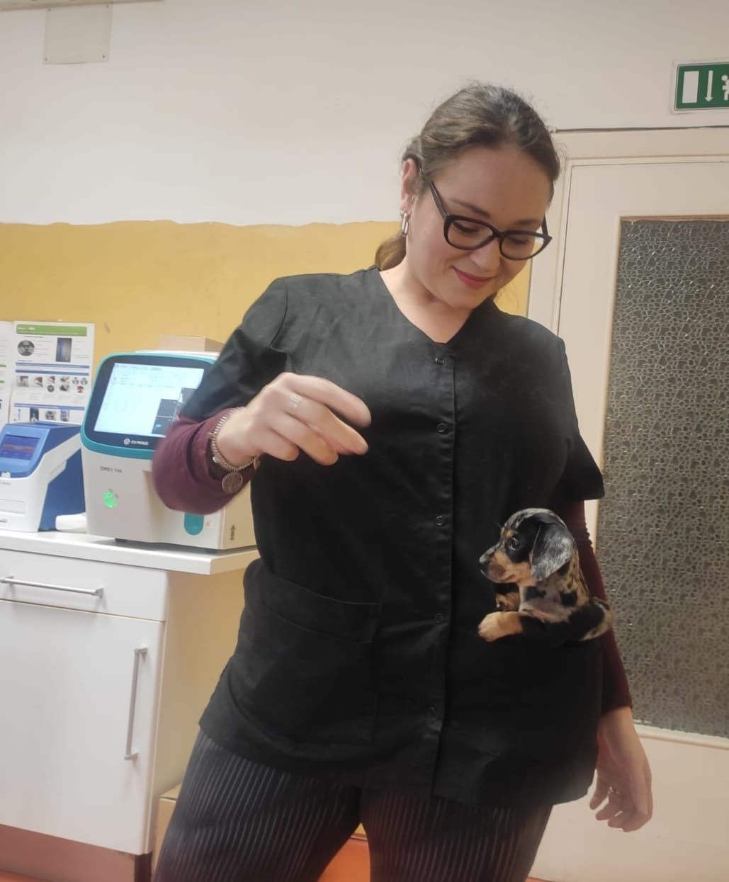 In un ambiente clinico, una persona in camice scuro tiene in braccio un cagnolino.
