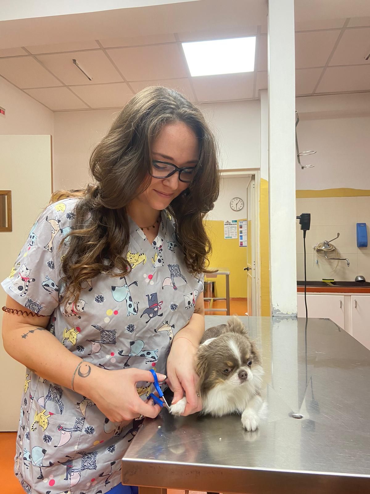 In una clinica, una persona in camice con motivi decorativi si prende cura di un coniglio grigio e bianco su un tavolo di acciaio inossidabile.