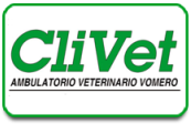 Logo verde e bianco della clinica veterinaria ClinVet con la scritta "Ambulatorio Veterinario Vomero".