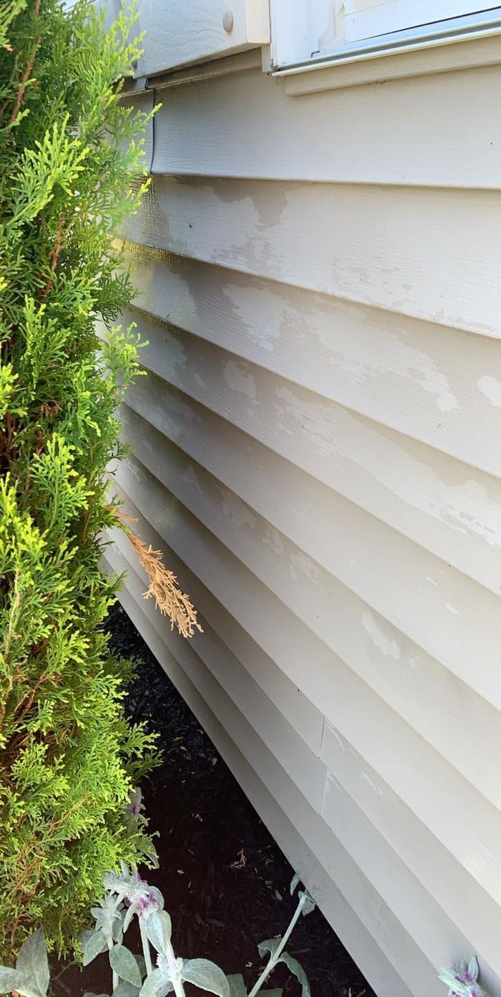 White house siding beside a green shrub, with a small garden bed at the base.