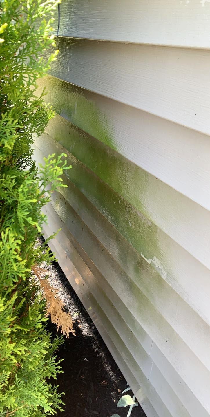 White house siding beside green shrubs, with a narrow shadowed gap and sunlight filtering through greenery