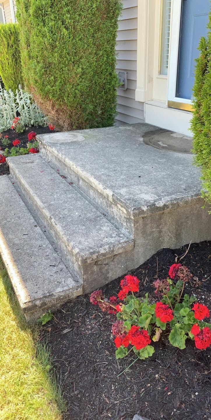 Front steps and concrete stoop beside a house, bordered by red flowers and green shrubs.