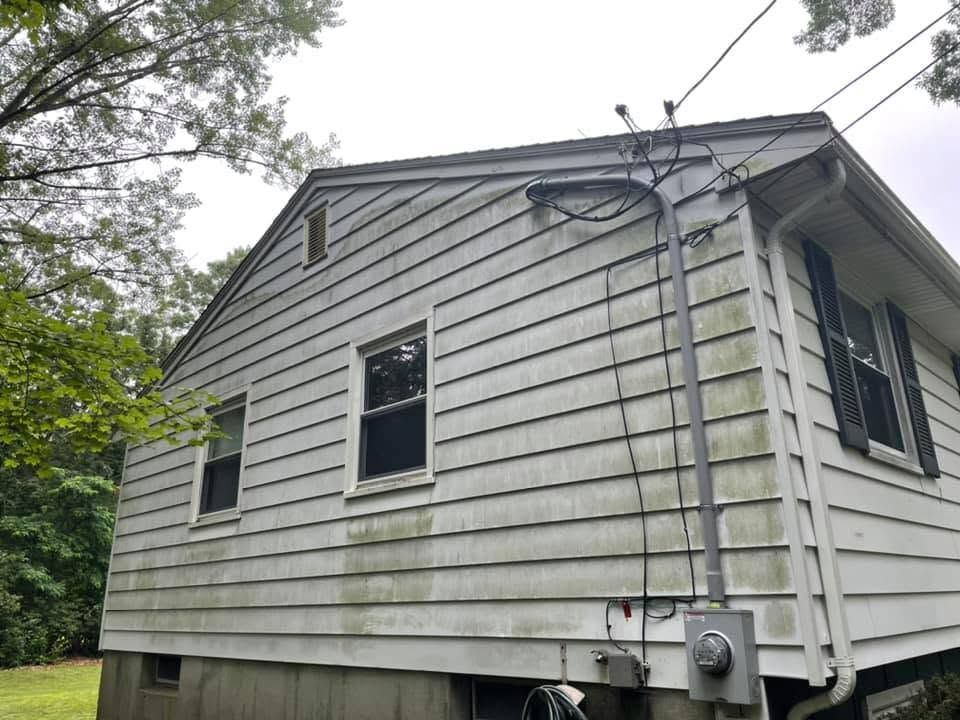 Gray house siding with two windows, outdoor utility meter, and trees overhead