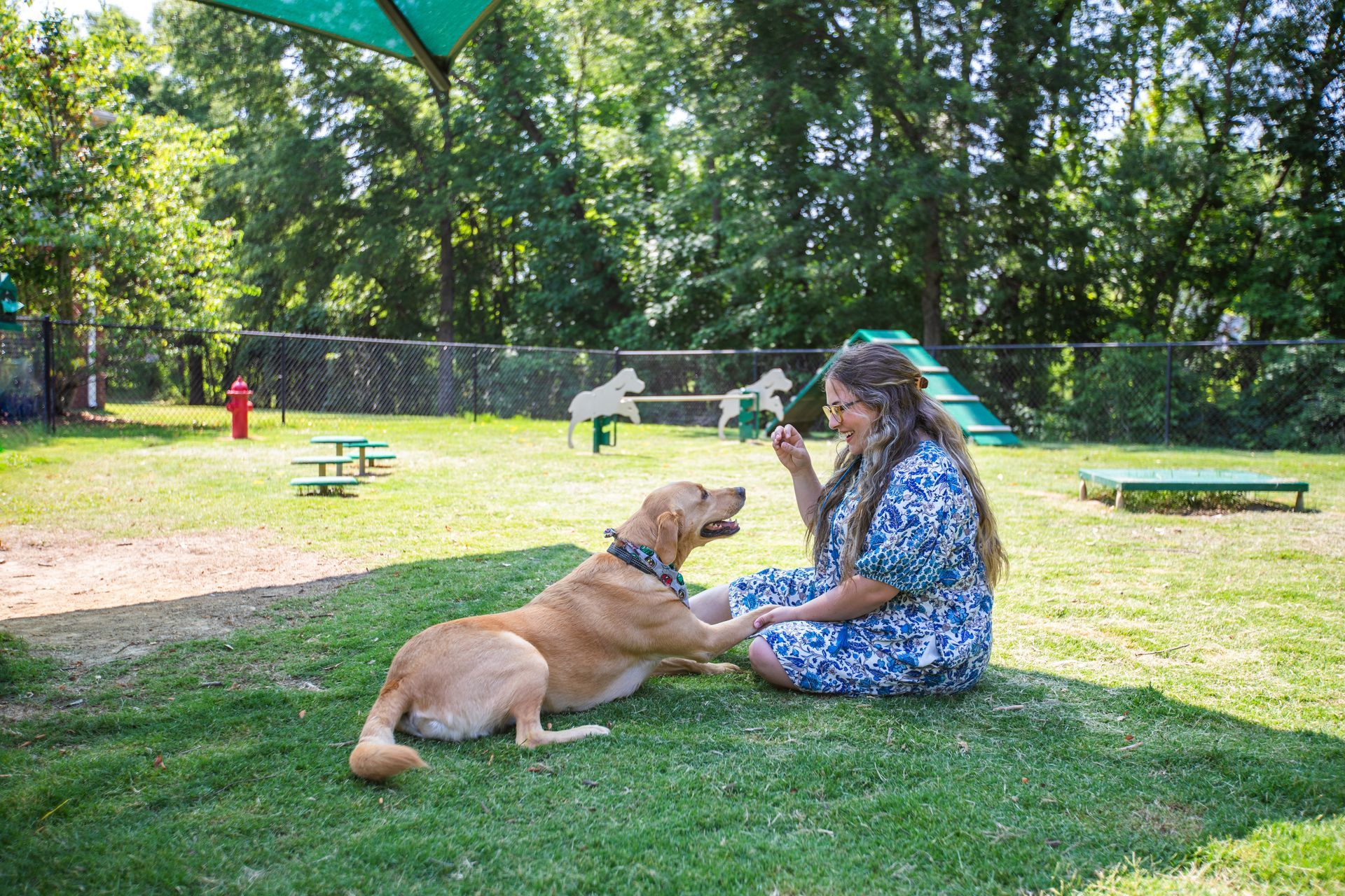 A woman is sitting on the grass playing with a dog.