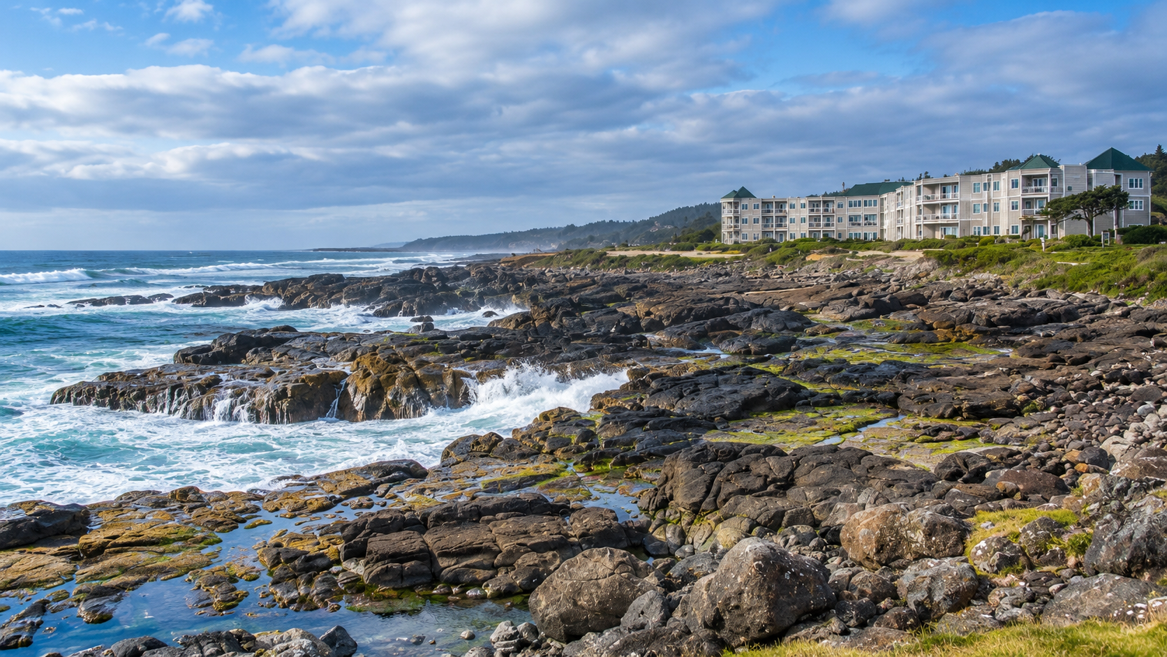 Storm Watching & King Tides Small Group Tour