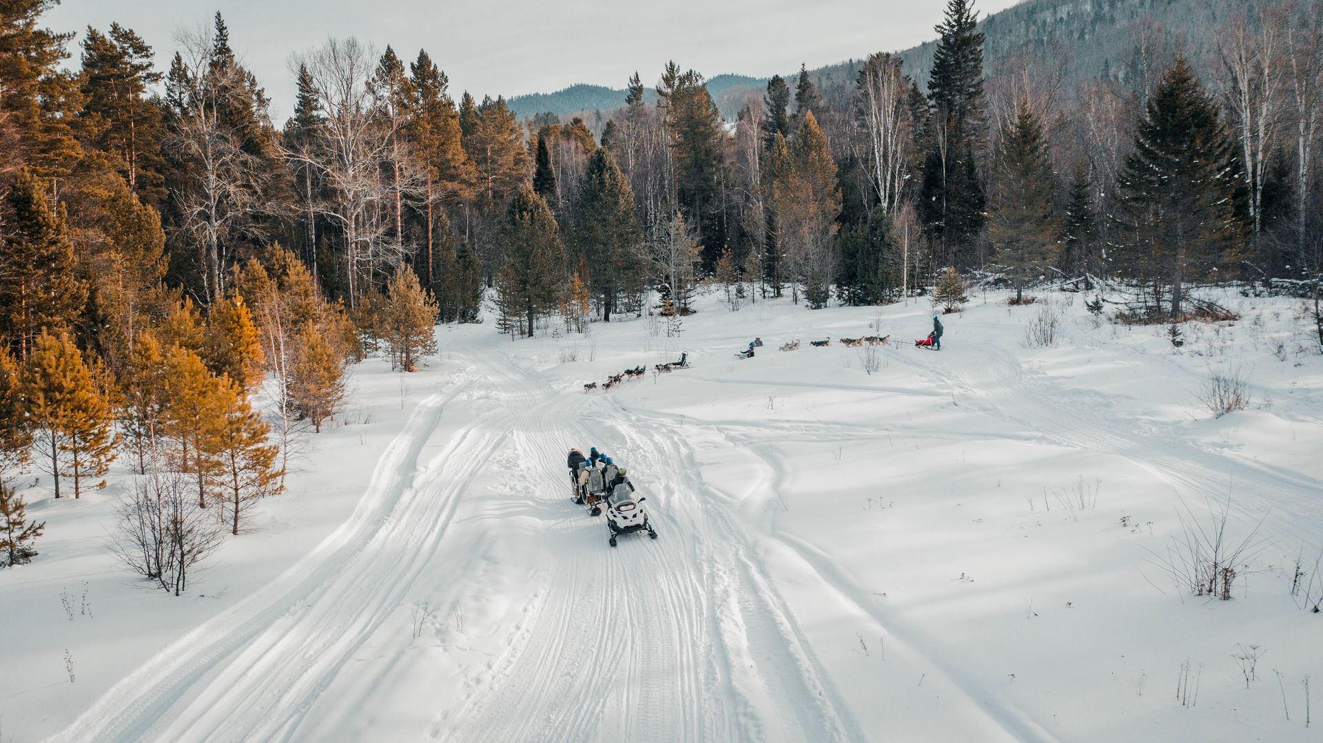 Alaska's Great Race - A Hosted Journey to the Iditarod