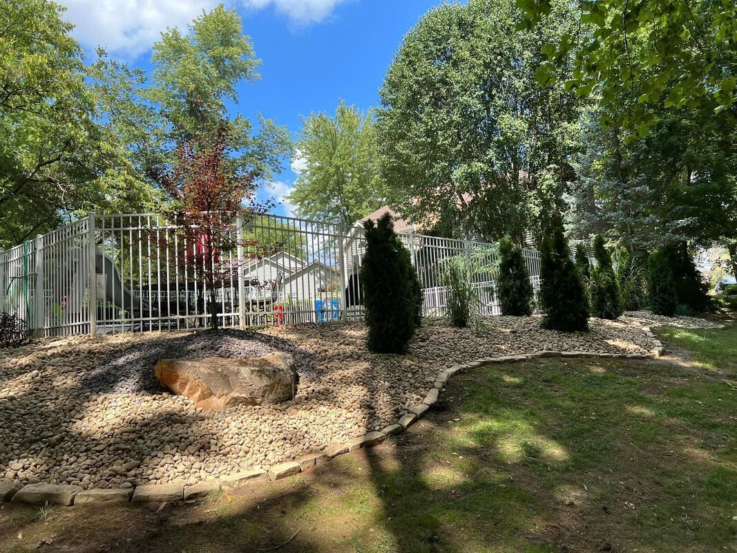 Sunny garden with trees, a fenced yard, and a small landscaped mound under a blue sky