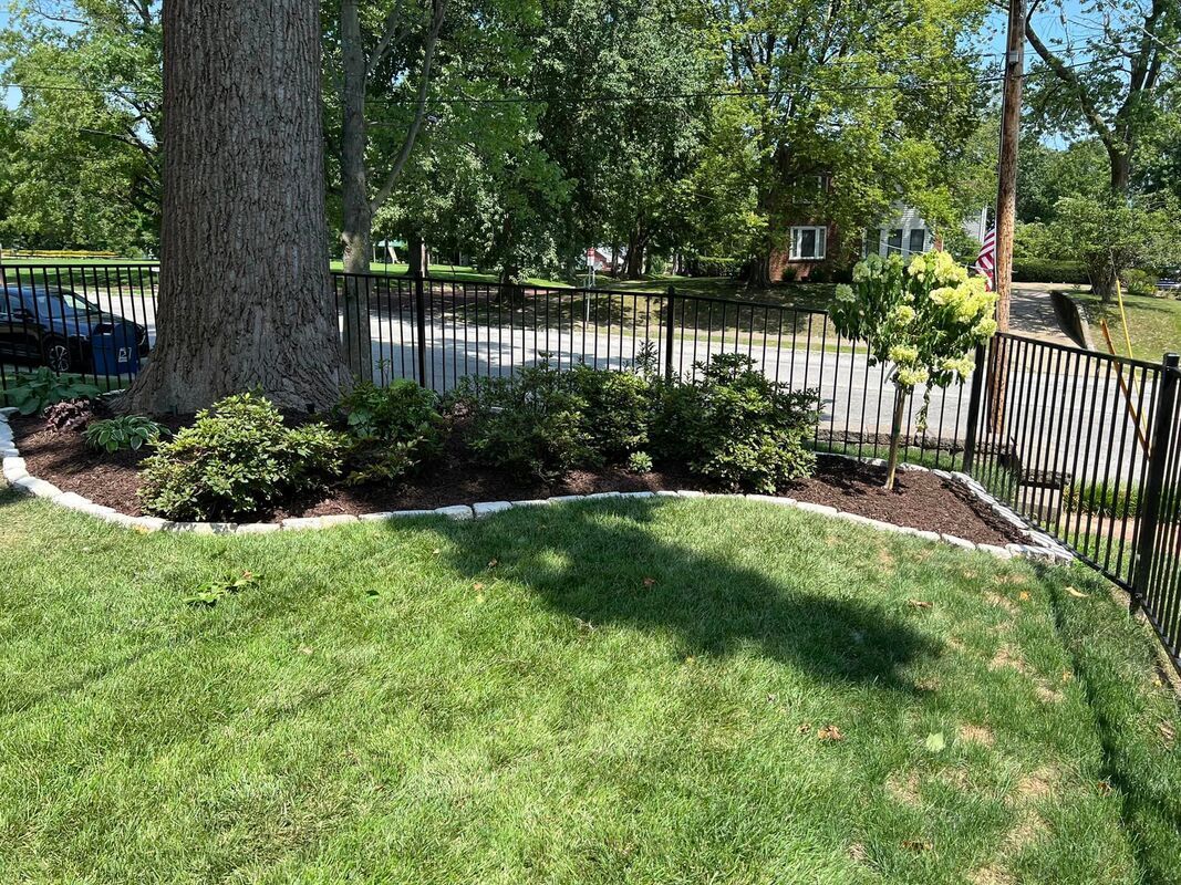 Sunny backyard with green lawn, large tree, flower beds, and white picket fence