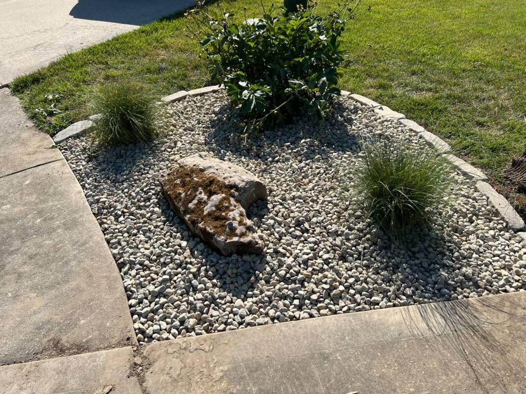 Small rock garden with shrubs and a large stone beside a concrete sidewalk and grass.