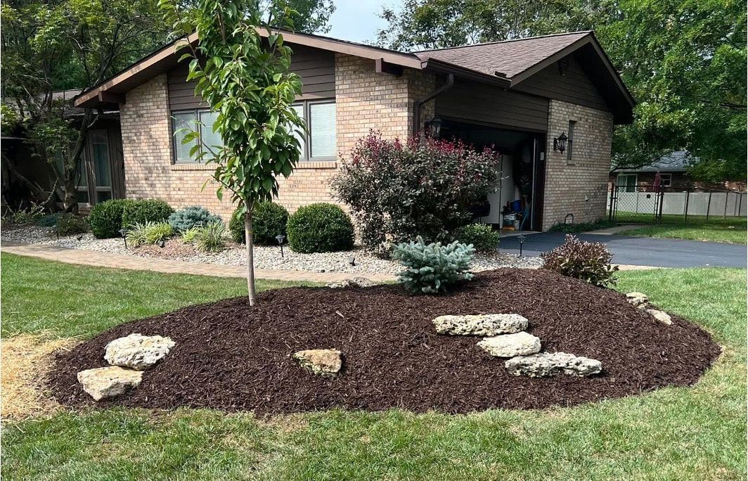 Landscaped front yard with mulch bed, young tree, shrubs, and a brick house in the background