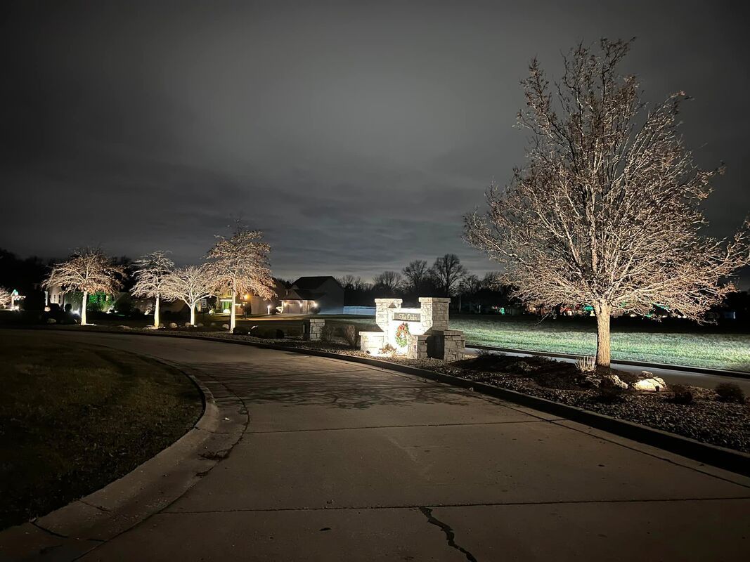 Nighttime park path with lit trees, a curb, and a cloudy sky
