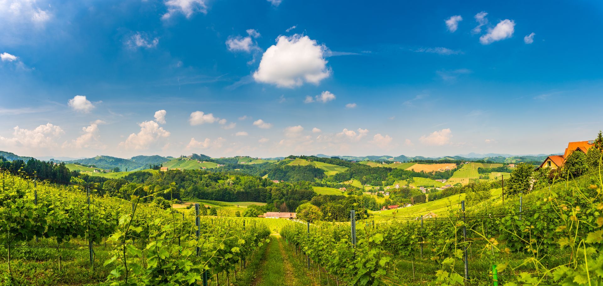 Panoramic green countryside under a bright blue sky with scattered white clouds