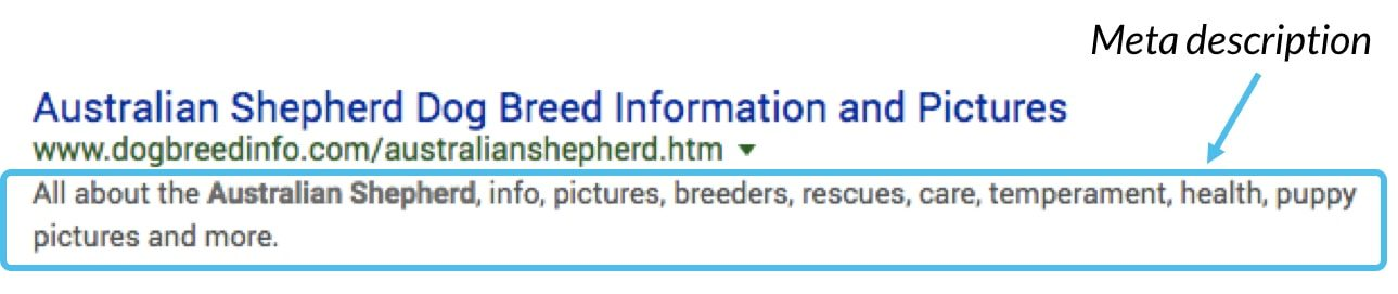 meta description on your website