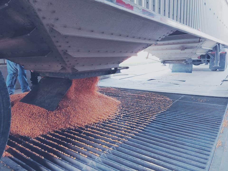 Ottawa Lake Co-Op primarily buys and sells grain, such as, corn, wheat and beans.